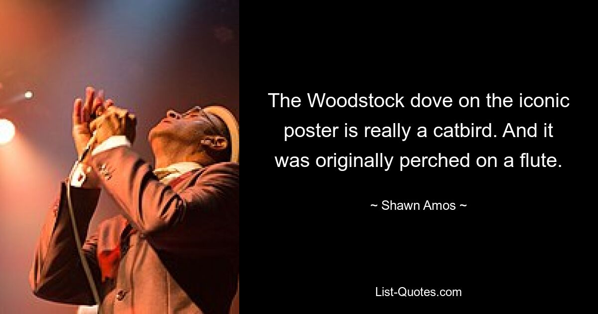 The Woodstock dove on the iconic poster is really a catbird. And it was originally perched on a flute. — © Shawn Amos