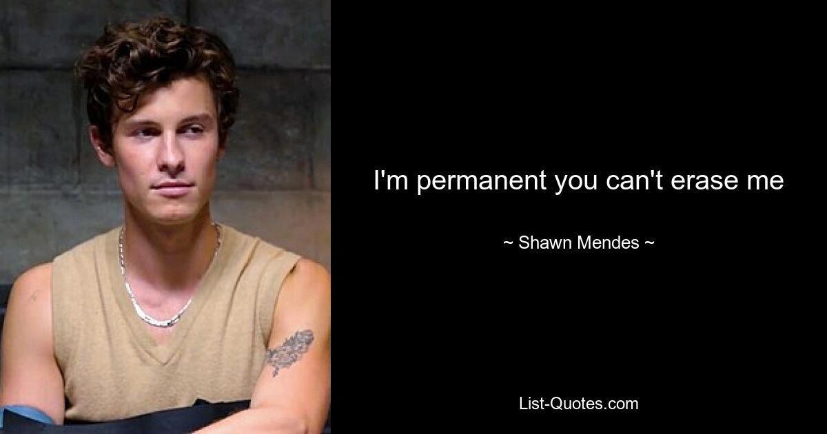 I'm permanent you can't erase me — © Shawn Mendes