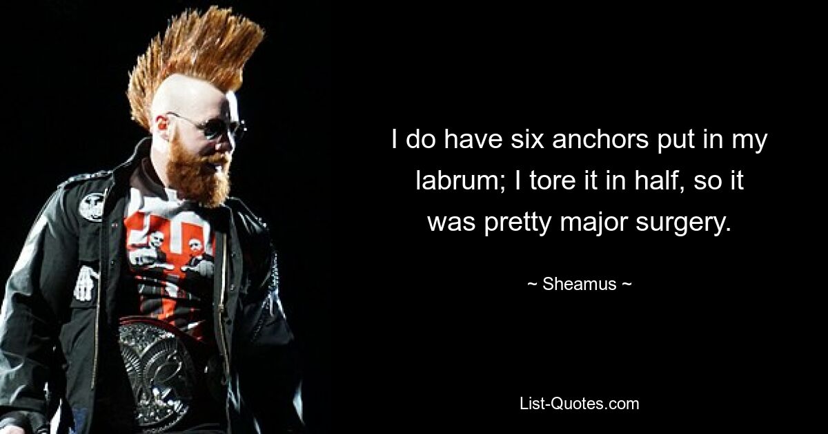 I do have six anchors put in my labrum; I tore it in half, so it was pretty major surgery. — © Sheamus