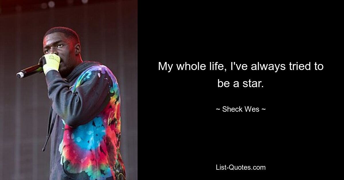 My whole life, I've always tried to be a star. — © Sheck Wes