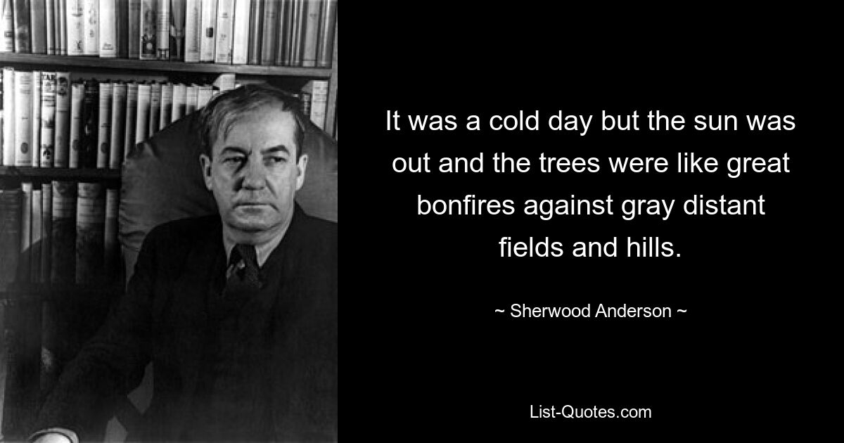 It was a cold day but the sun was out and the trees were like great bonfires against gray distant fields and hills. — © Sherwood Anderson