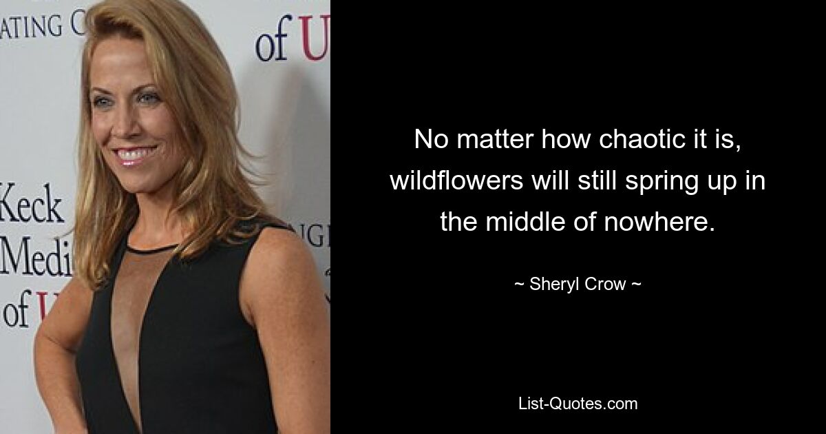 No matter how chaotic it is, wildflowers will still spring up in the middle of nowhere. — © Sheryl Crow