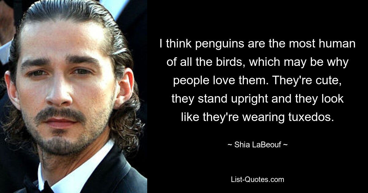 I think penguins are the most human of all the birds, which may be why people love them. They're cute, they stand upright and they look like they're wearing tuxedos. — © Shia LaBeouf