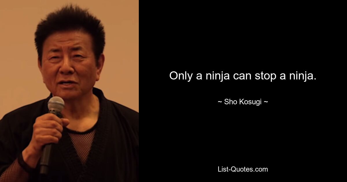 Only a ninja can stop a ninja. — © Sho Kosugi