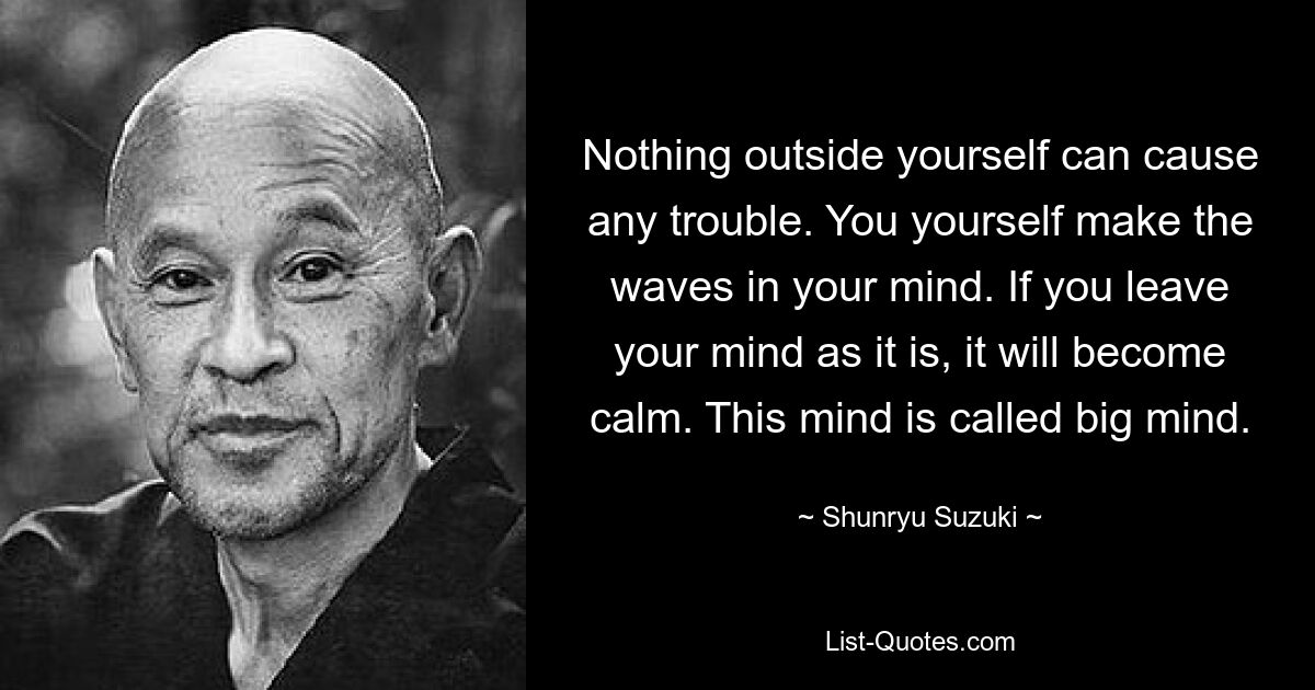 Ничто вне вас не может вызвать никаких проблем. Вы сами создаете волны в своем уме. Если вы оставите свой ум таким, какой он есть, он станет спокойным. Этот ум называется большим умом. — © Шунрю Судзуки 