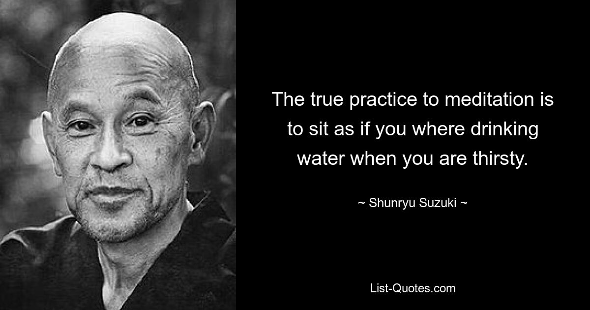 The true practice to meditation is to sit as if you where drinking water when you are thirsty. — © Shunryu Suzuki