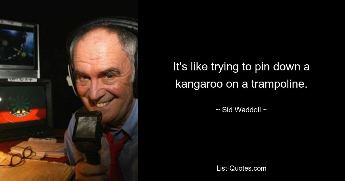 It's like trying to pin down a kangaroo on a trampoline. — © Sid Waddell