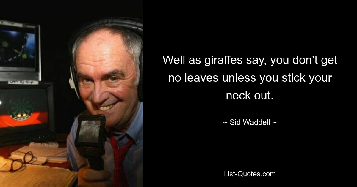 Well as giraffes say, you don't get no leaves unless you stick your neck out. — © Sid Waddell