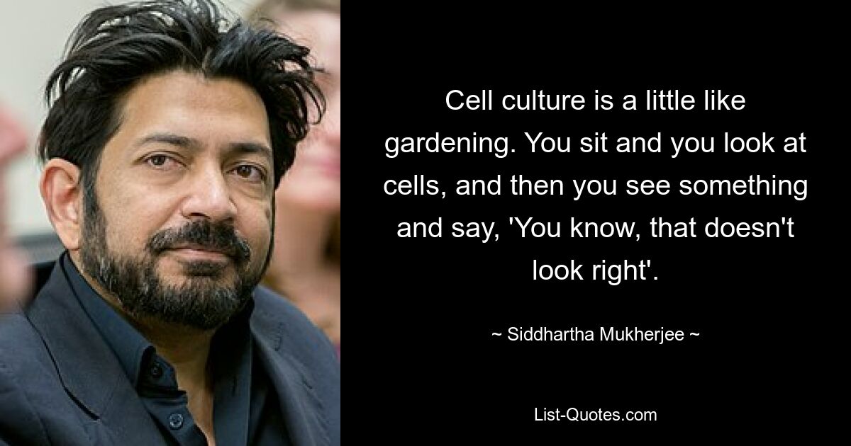 Cell culture is a little like gardening. You sit and you look at cells, and then you see something and say, 'You know, that doesn't look right'. — © Siddhartha Mukherjee