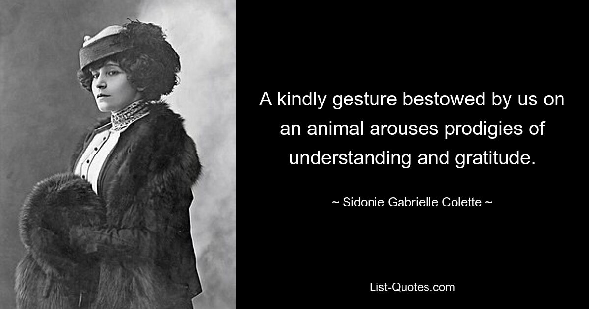 A kindly gesture bestowed by us on an animal arouses prodigies of understanding and gratitude. — © Sidonie Gabrielle Colette