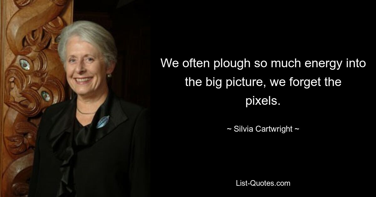 We often plough so much energy into the big picture, we forget the pixels. — © Silvia Cartwright