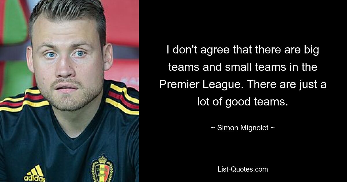 I don't agree that there are big teams and small teams in the Premier League. There are just a lot of good teams. — © Simon Mignolet