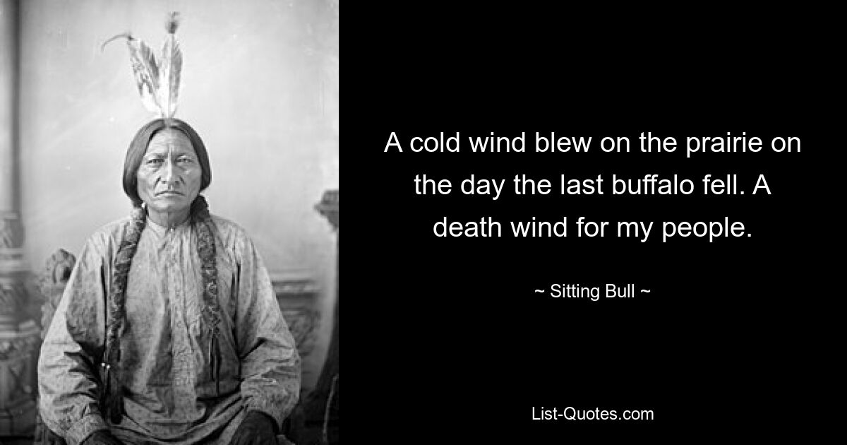 В тот день, когда пал последний буйвол, в прерии дул холодный ветер. Смертельный ветер для моего народа. — © Сидящий Бык 
