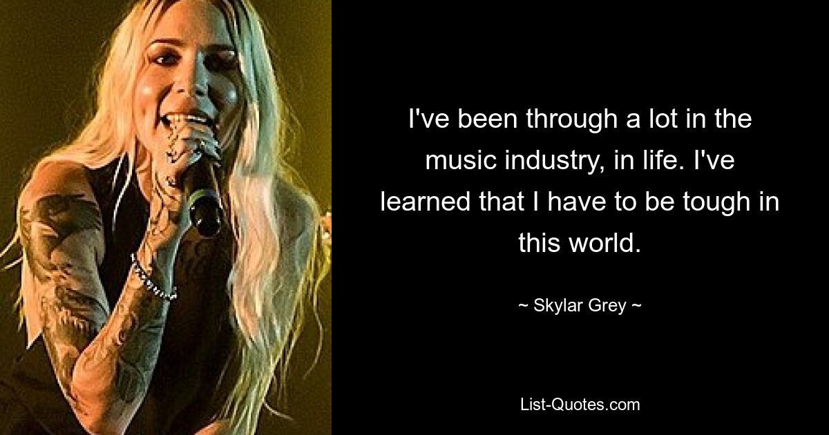 I've been through a lot in the music industry, in life. I've learned that I have to be tough in this world. — © Skylar Grey