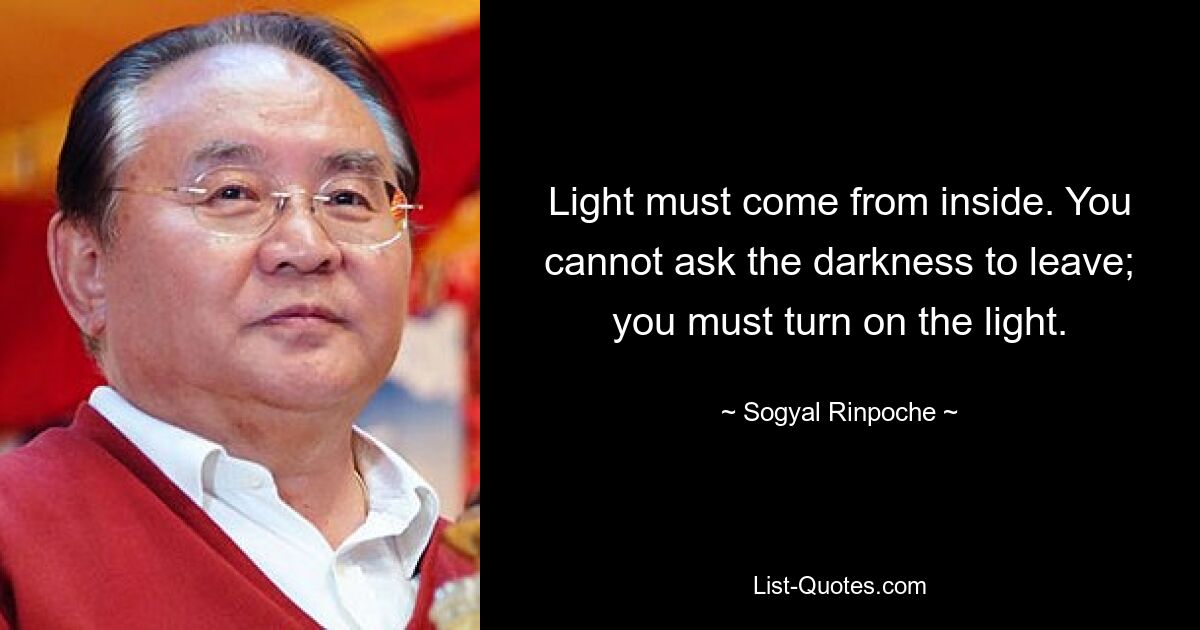 Light must come from inside. You cannot ask the darkness to leave; you must turn on the light. — © Sogyal Rinpoche