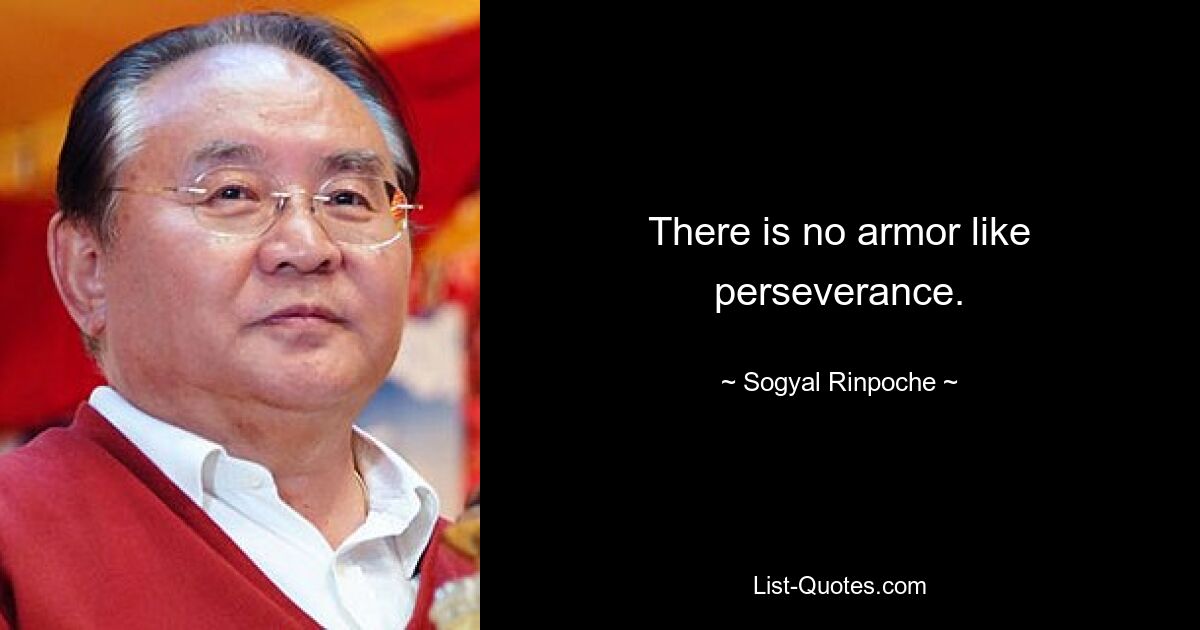 There is no armor like perseverance. — © Sogyal Rinpoche