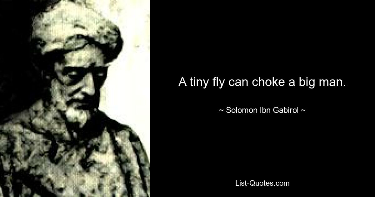 A tiny fly can choke a big man. — © Solomon Ibn Gabirol