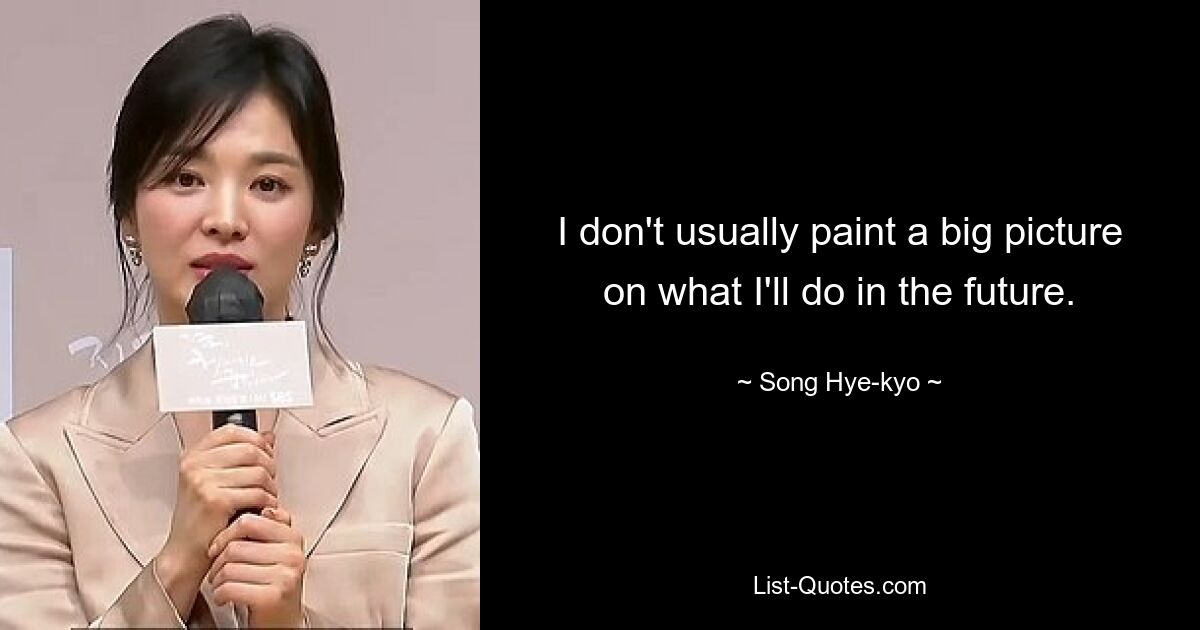 I don't usually paint a big picture on what I'll do in the future. — © Song Hye-kyo