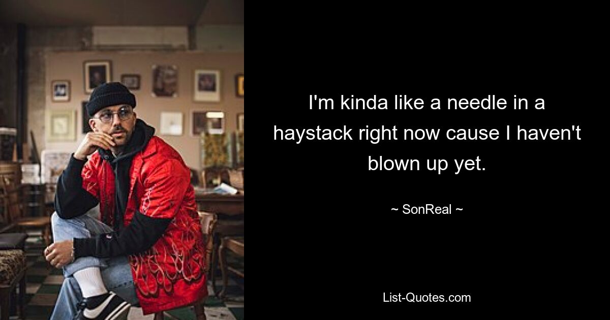 I'm kinda like a needle in a haystack right now cause I haven't blown up yet. — © SonReal