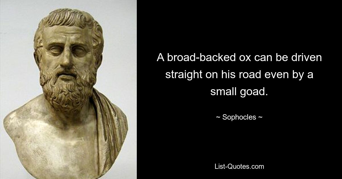 A broad-backed ox can be driven straight on his road even by a small goad. — © Sophocles