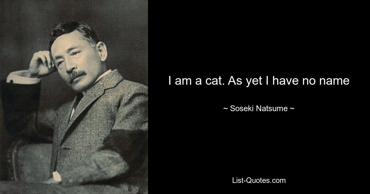 I am a cat. As yet I have no name — © Soseki Natsume