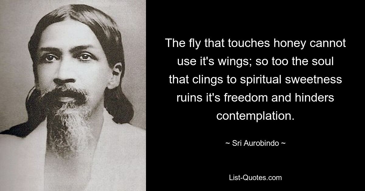 The fly that touches honey cannot use it's wings; so too the soul that clings to spiritual sweetness ruins it's freedom and hinders contemplation. — © Sri Aurobindo