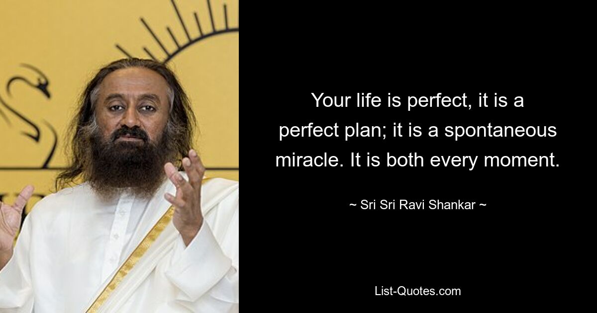 Your life is perfect, it is a perfect plan; it is a spontaneous miracle. It is both every moment. — © Sri Sri Ravi Shankar