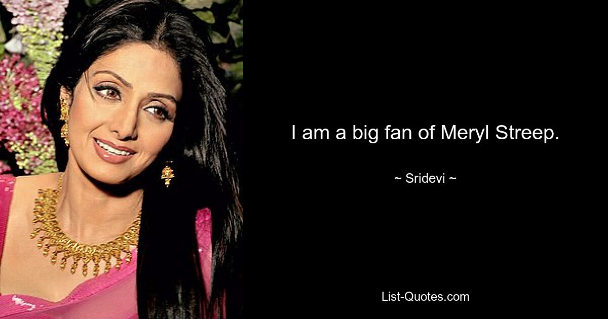 I am a big fan of Meryl Streep. — © Sridevi