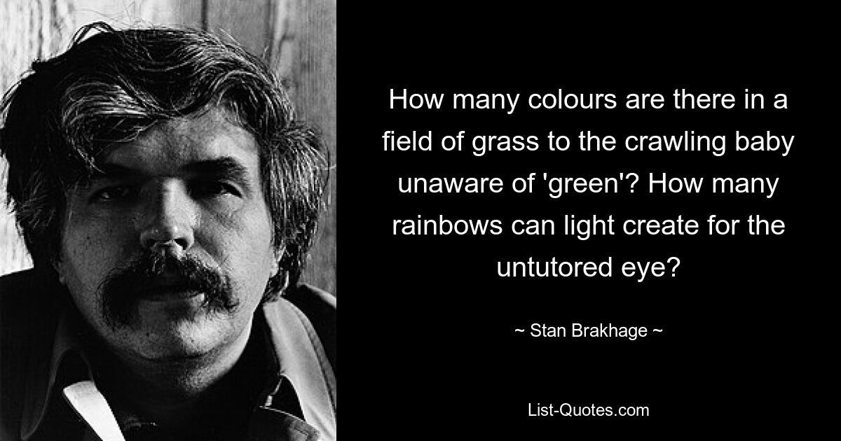 How many colours are there in a field of grass to the crawling baby unaware of 'green'? How many rainbows can light create for the untutored eye? — © Stan Brakhage