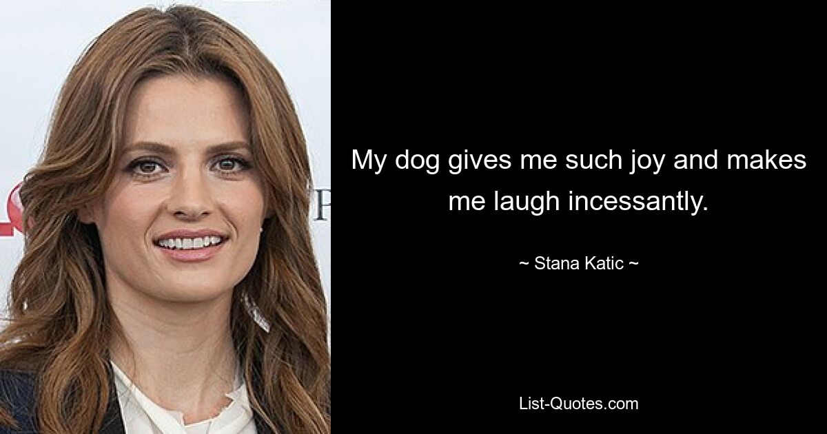 My dog gives me such joy and makes me laugh incessantly. — © Stana Katic