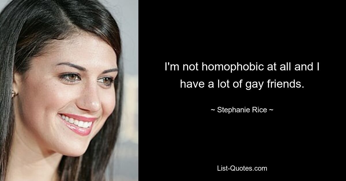 I'm not homophobic at all and I have a lot of gay friends. — © Stephanie Rice