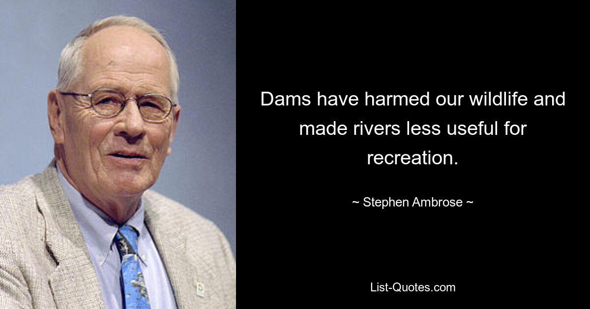 Dams have harmed our wildlife and made rivers less useful for recreation. — © Stephen Ambrose