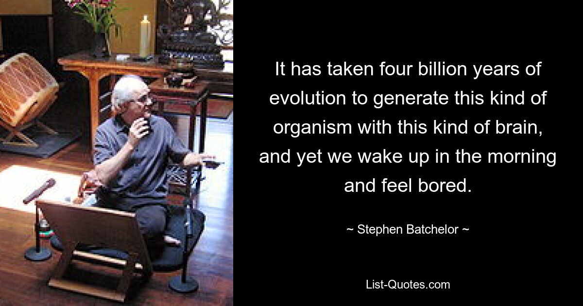 It has taken four billion years of evolution to generate this kind of organism with this kind of brain, and yet we wake up in the morning and feel bored. — © Stephen Batchelor