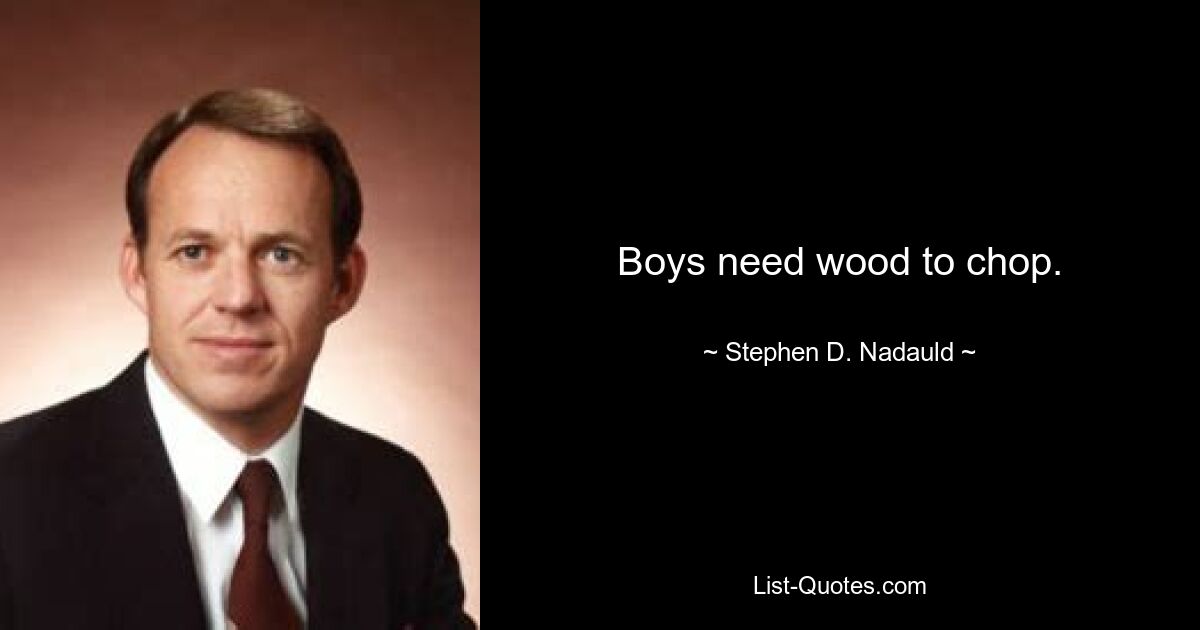 Boys need wood to chop. — © Stephen D. Nadauld