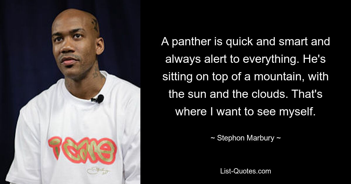 A panther is quick and smart and always alert to everything. He's sitting on top of a mountain, with the sun and the clouds. That's where I want to see myself. — © Stephon Marbury