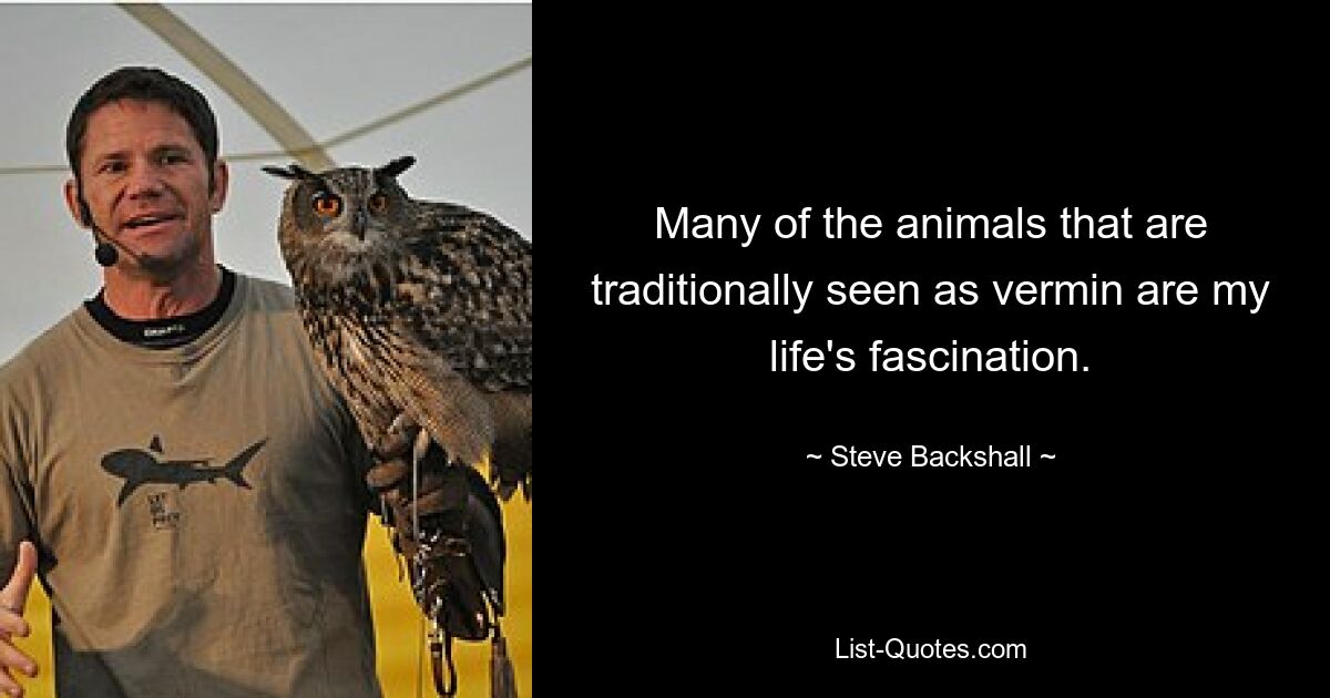 Many of the animals that are traditionally seen as vermin are my life's fascination. — © Steve Backshall