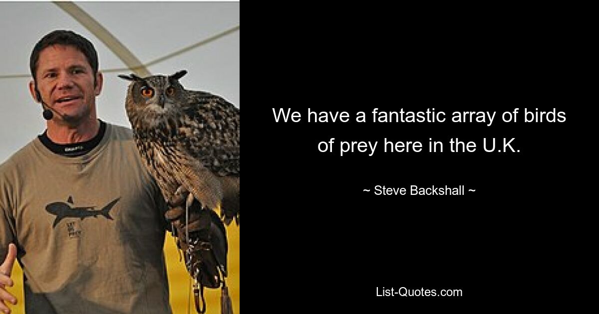 We have a fantastic array of birds of prey here in the U.K. — © Steve Backshall