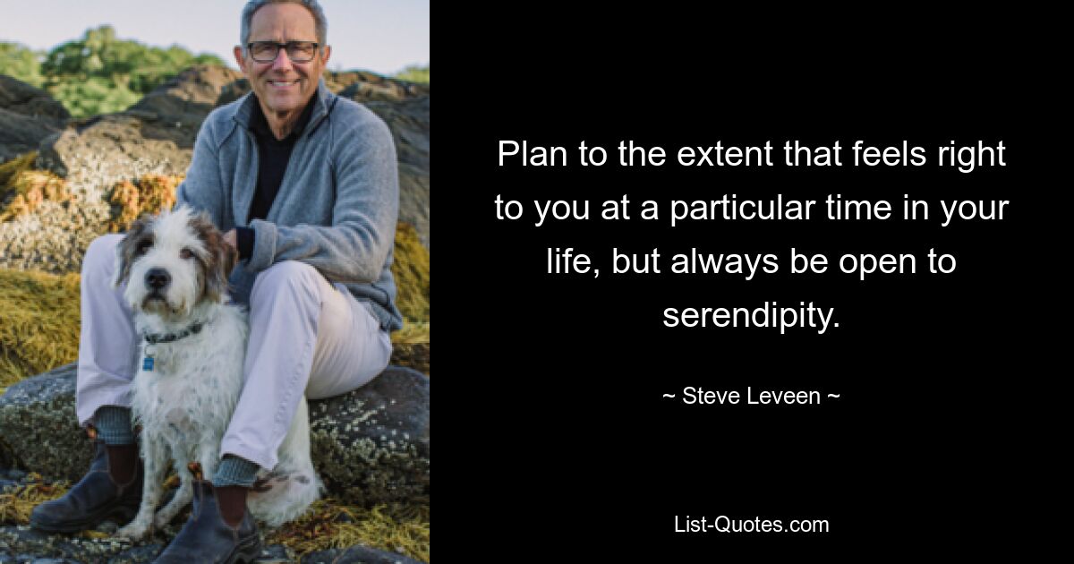 Plan to the extent that feels right to you at a particular time in your life, but always be open to serendipity. — © Steve Leveen