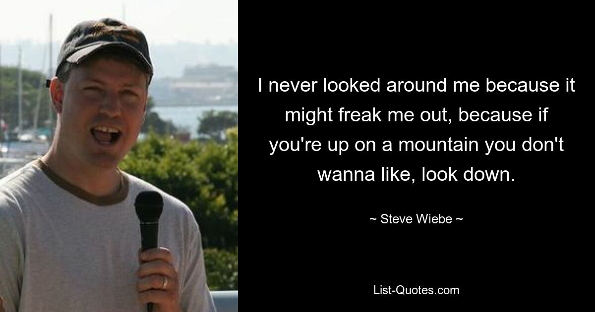 I never looked around me because it might freak me out, because if you're up on a mountain you don't wanna like, look down. — © Steve Wiebe