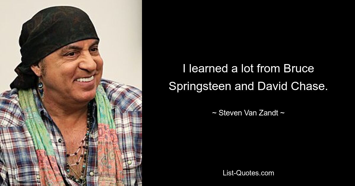 I learned a lot from Bruce Springsteen and David Chase. — © Steven Van Zandt