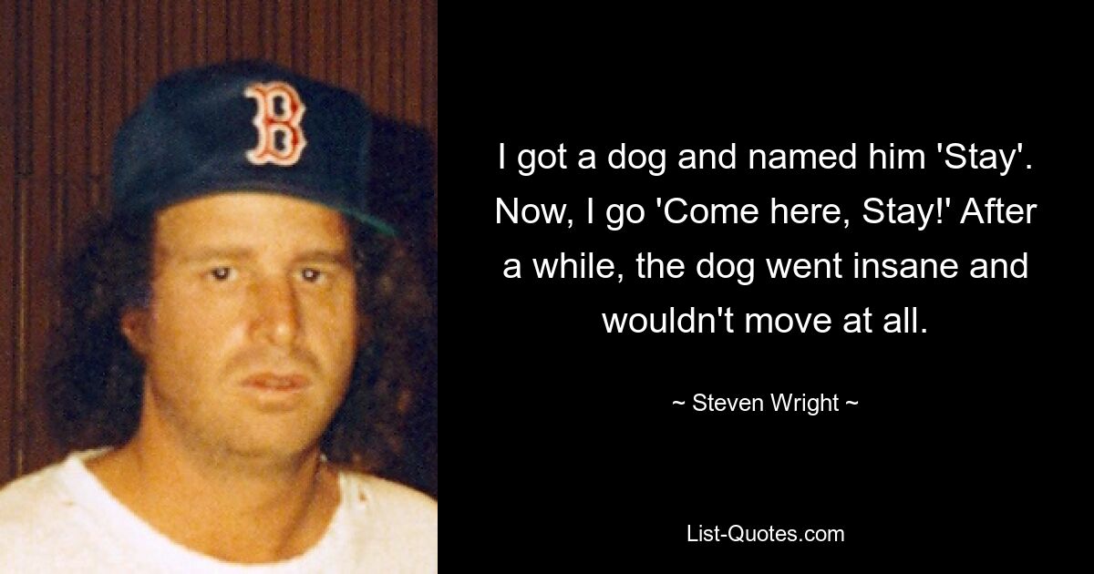 I got a dog and named him 'Stay'. Now, I go 'Come here, Stay!' After a while, the dog went insane and wouldn't move at all. — © Steven Wright