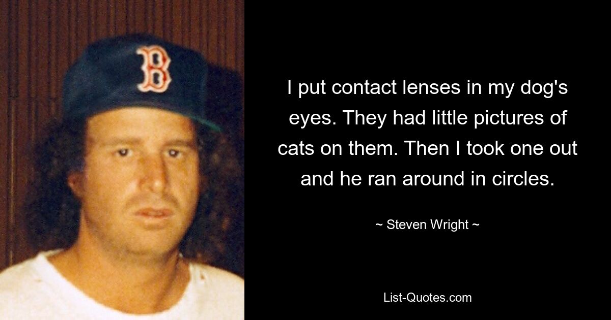 I put contact lenses in my dog's eyes. They had little pictures of cats on them. Then I took one out and he ran around in circles. — © Steven Wright