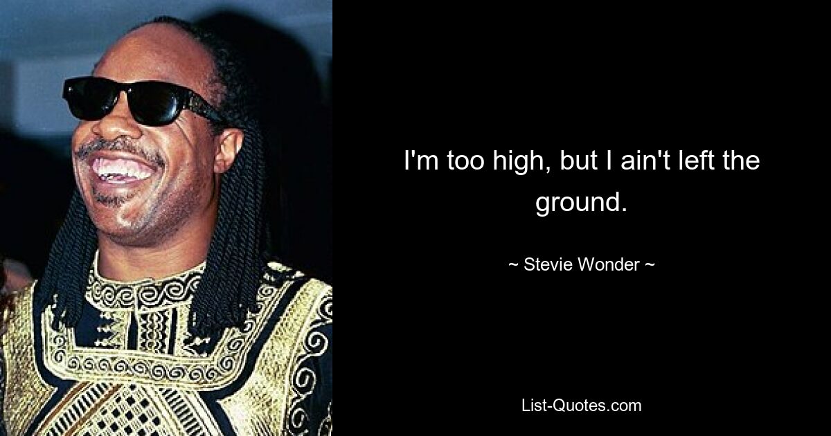 I'm too high, but I ain't left the ground. — © Stevie Wonder