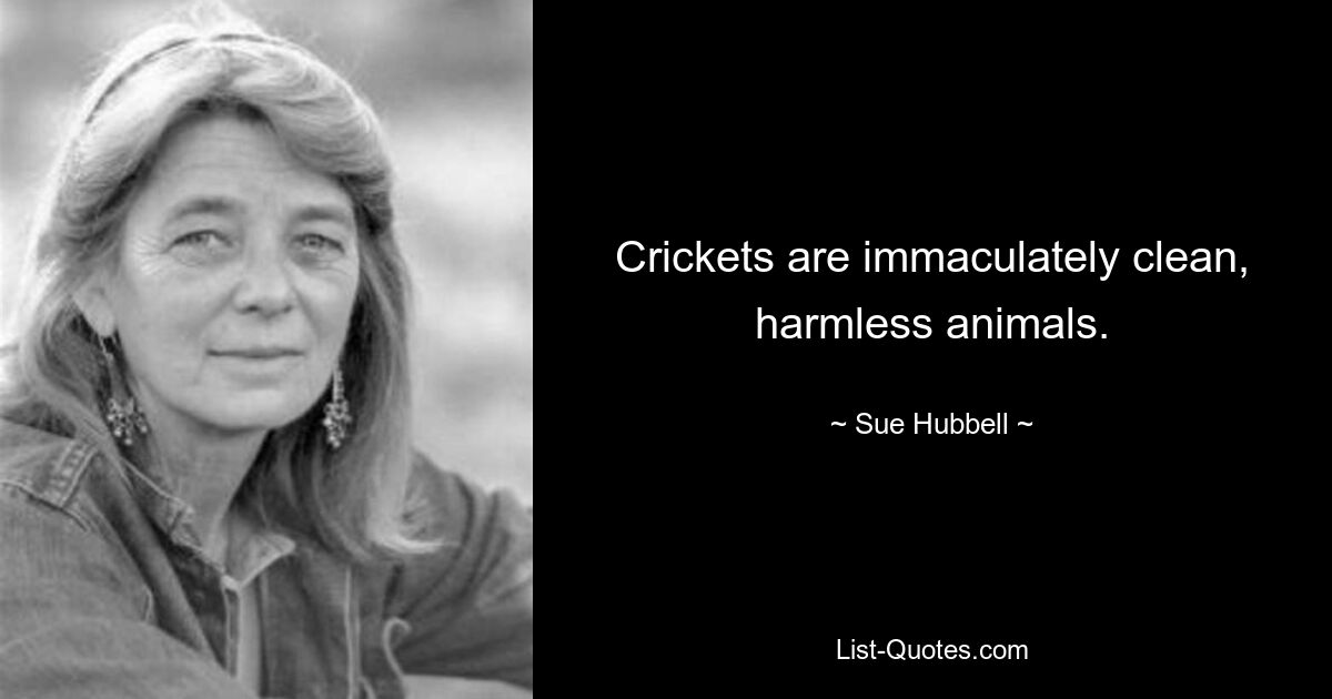 Crickets are immaculately clean, harmless animals. — © Sue Hubbell