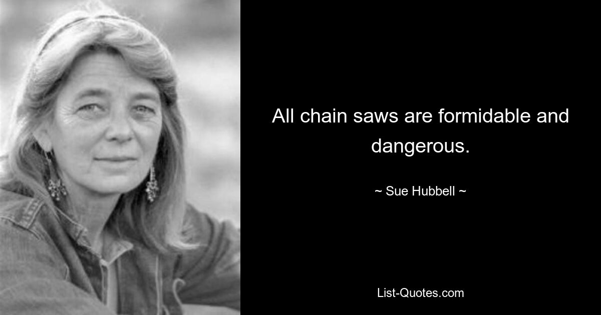 All chain saws are formidable and dangerous. — © Sue Hubbell