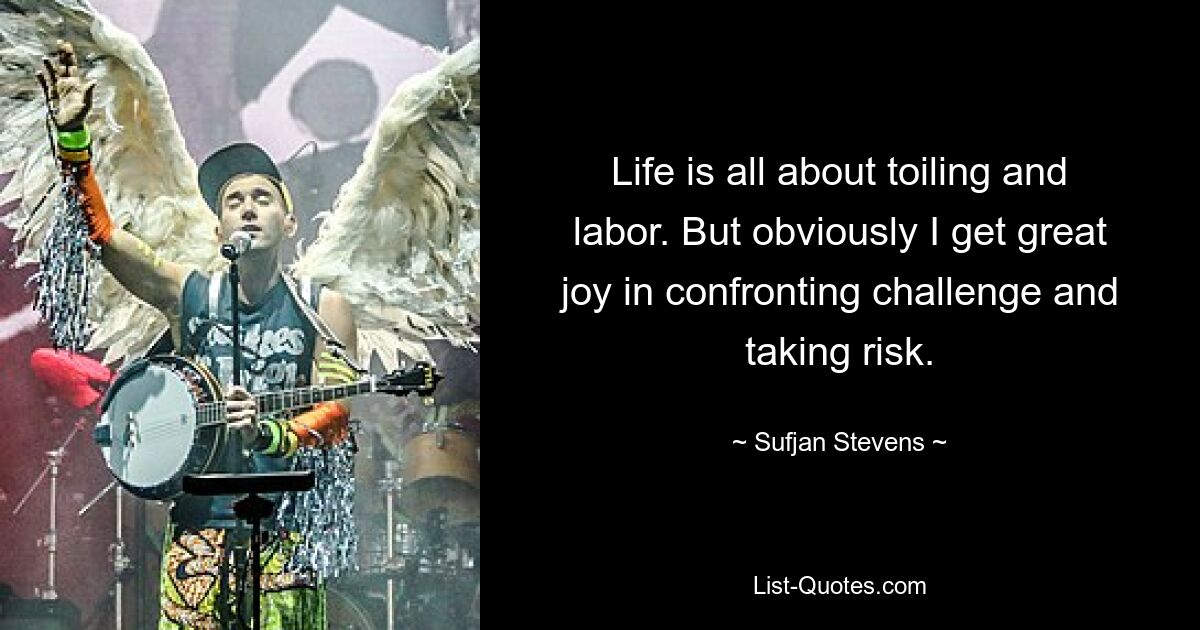 Life is all about toiling and labor. But obviously I get great joy in confronting challenge and taking risk. — © Sufjan Stevens