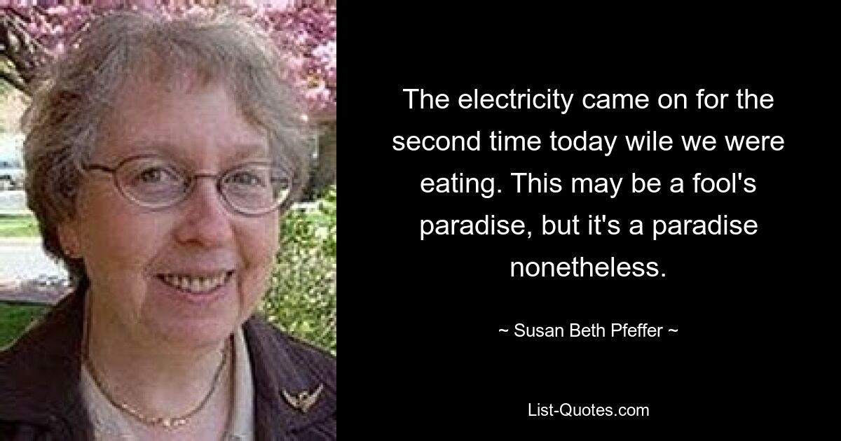 The electricity came on for the second time today wile we were eating. This may be a fool's paradise, but it's a paradise nonetheless. — © Susan Beth Pfeffer