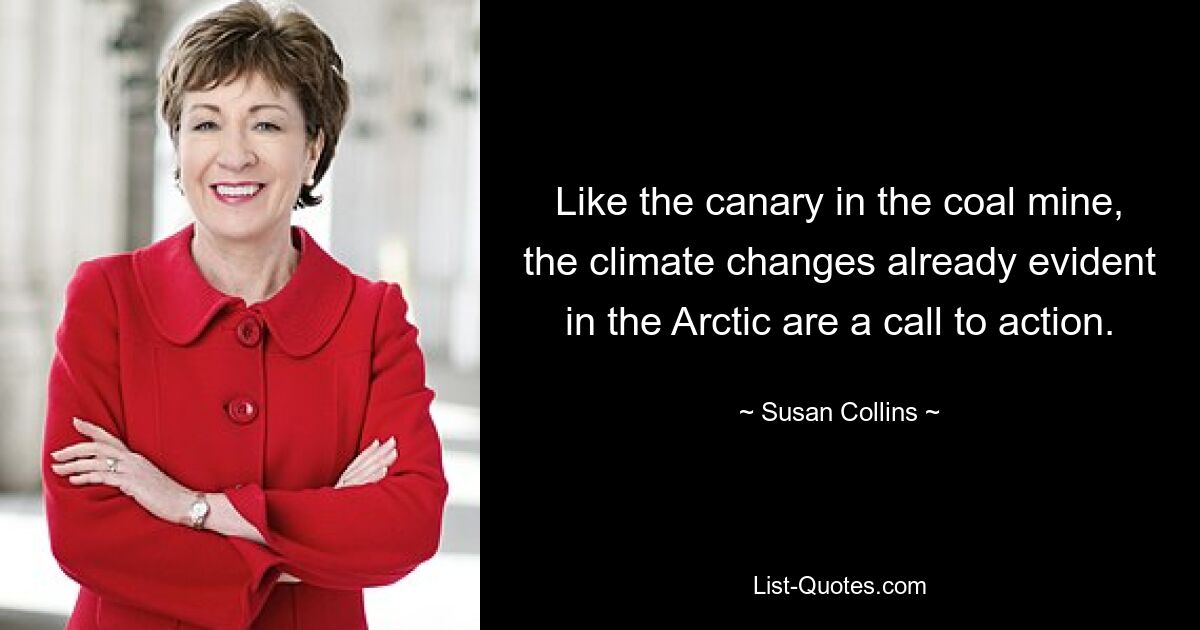 Like the canary in the coal mine, the climate changes already evident in the Arctic are a call to action. — © Susan Collins