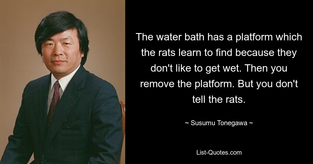 The water bath has a platform which the rats learn to find because they don't like to get wet. Then you remove the platform. But you don't tell the rats. — © Susumu Tonegawa