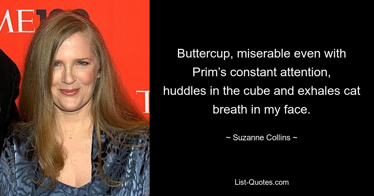 Buttercup, miserable even with Prim’s constant attention, huddles in the cube and exhales cat breath in my face. — © Suzanne Collins